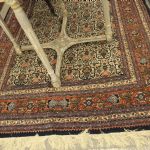 775 3665 ORIENTAL RUG